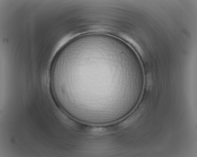 X0000116841467200912241219