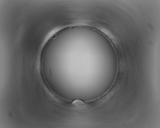 X0000116841469200912241218
