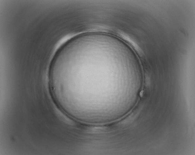 X0000116841471200912241218