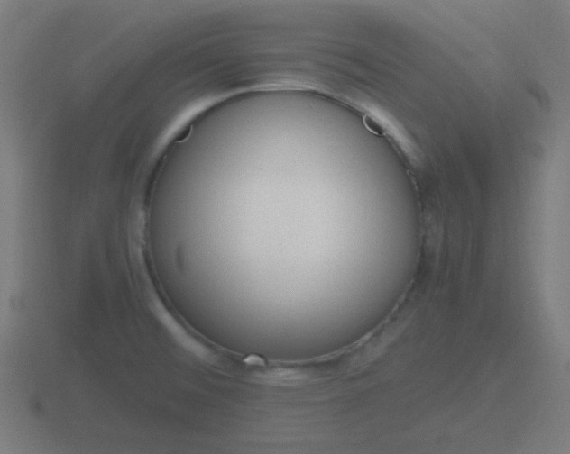 X0000116841476200912241218