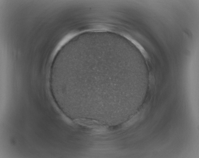 X0000116841477200912241218