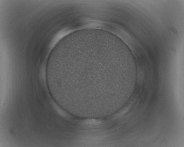 X0000116841478200912241218