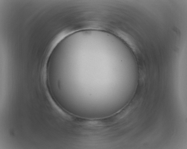X0000116841479200912241218