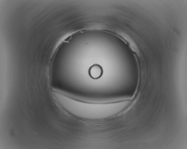 X0000116841481200912241218
