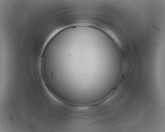 X0000116841484200912241218