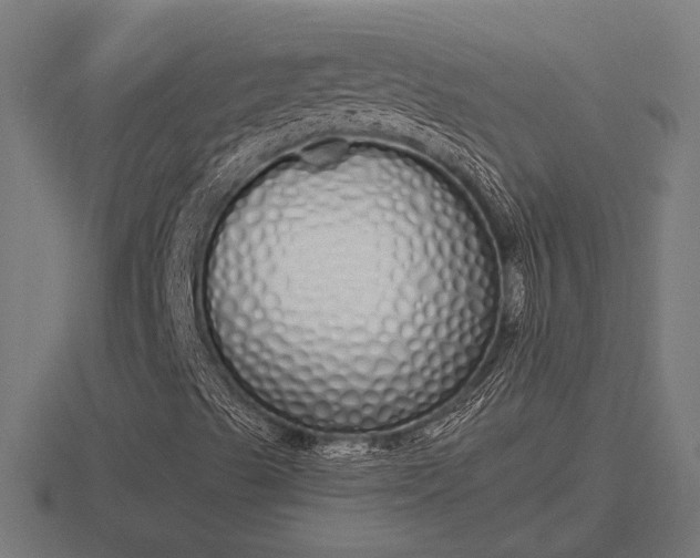 X0000116841489200912241218