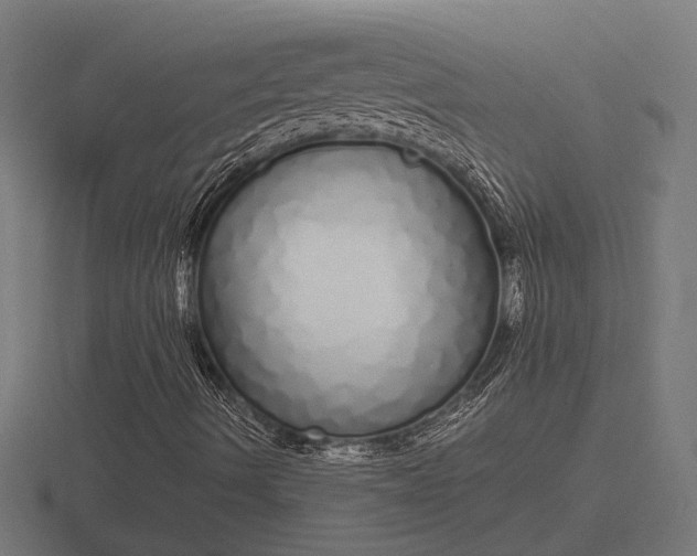 X0000116841490200912241218