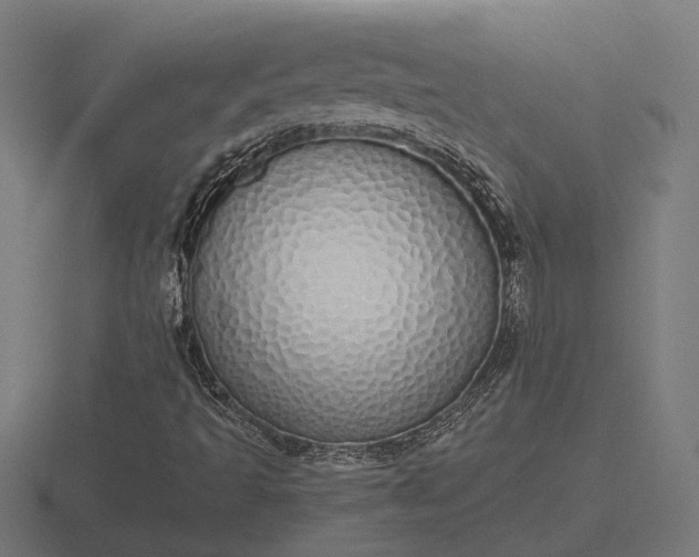 X0000116841493200912241218