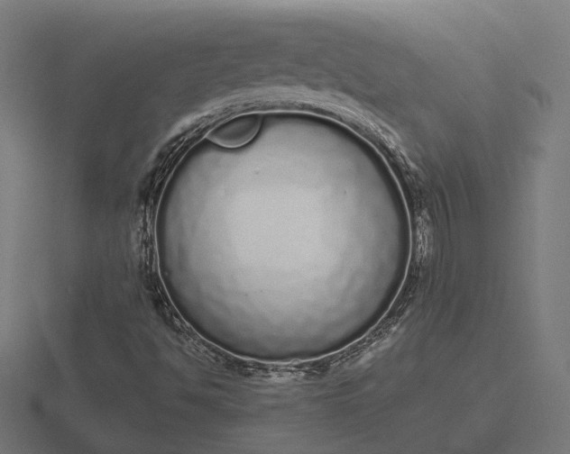 X0000116841494200912241218