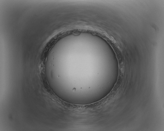 X0000116841495200912241218