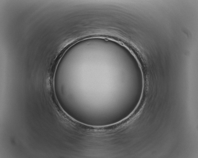 X0000116841497200912241218