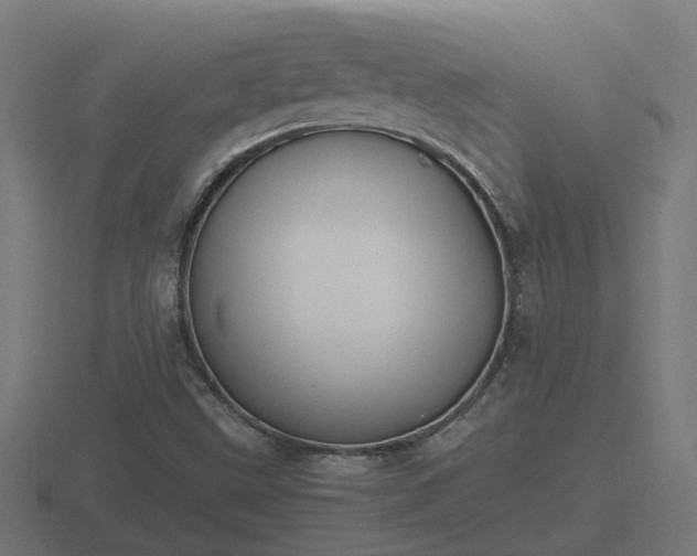 X0000116841499200912241218