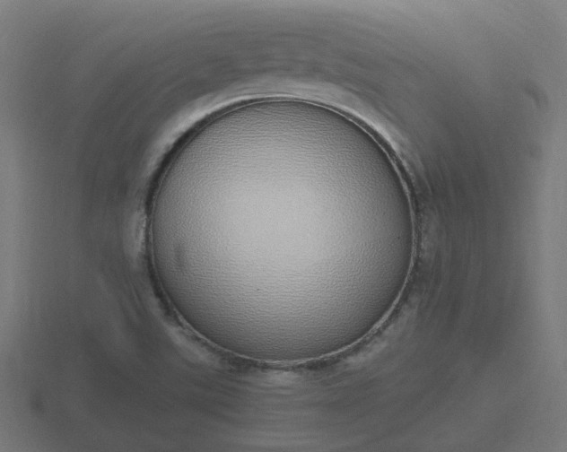 X0000116841507200912241218