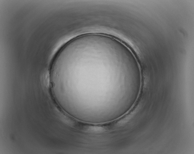 X0000116841509200912241218