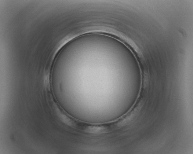 X0000116841513200912241218