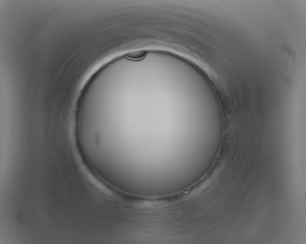 X0000116841518200912241218