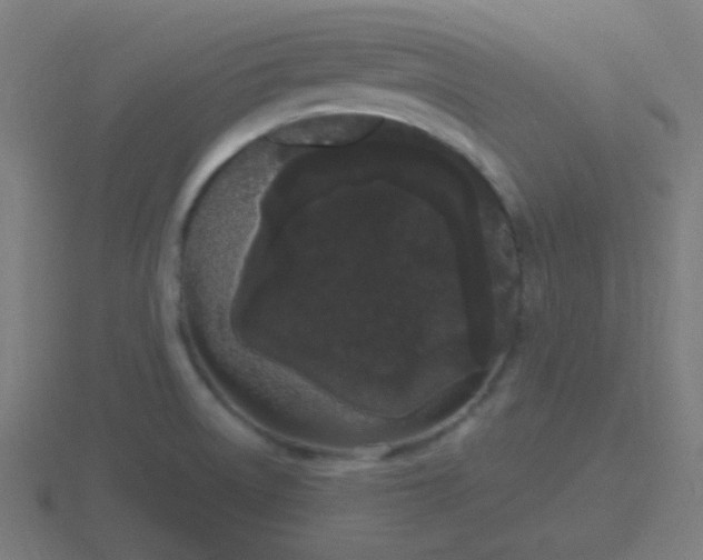 X0000116841522200912241218