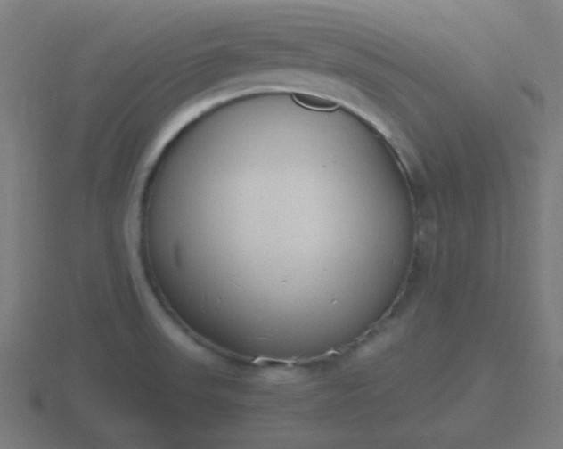 X0000116841523200912241218