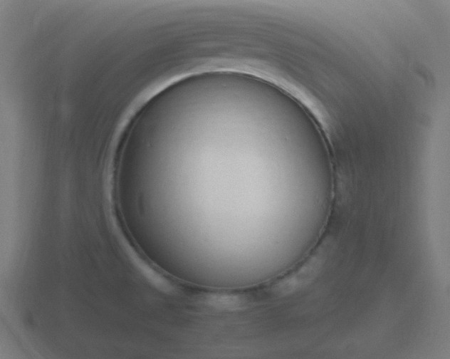 X0000116841525200912241218