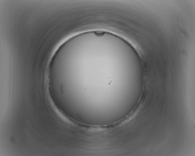 X0000116841526200912241218