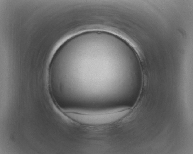 X0000116841527200912241218