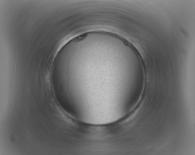 X0000116841529200912241218