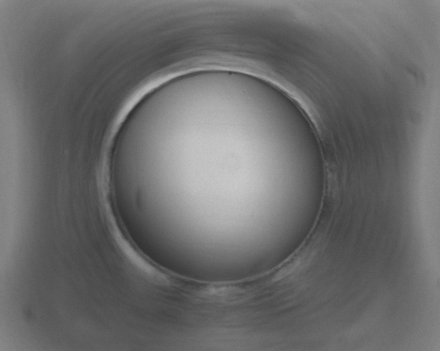 X0000116841531200912241218