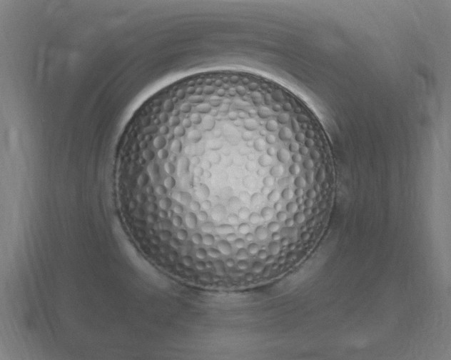 X0000116841534200912241218