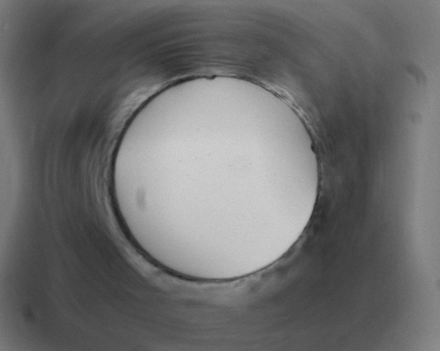 X0000116840001200912312104