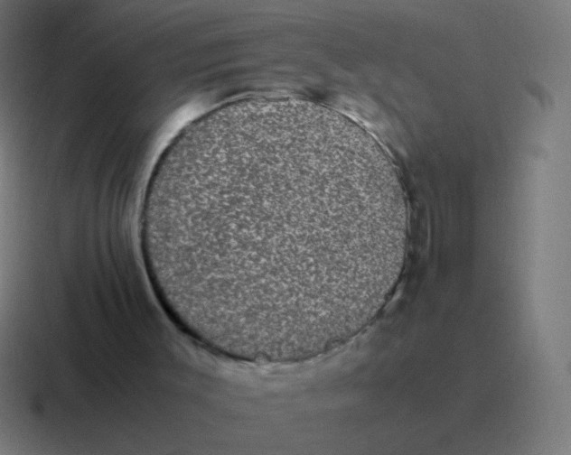 X0000116840003200912312104