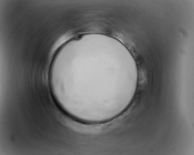 X0000116840004200912312104