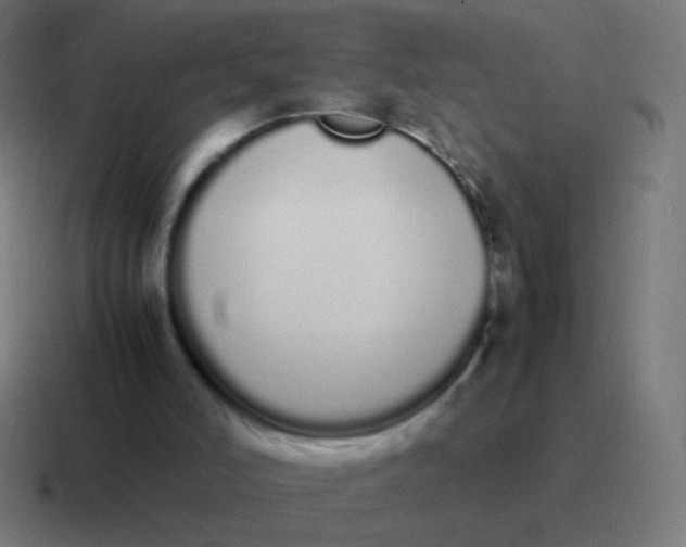 X0000116840006200912312104