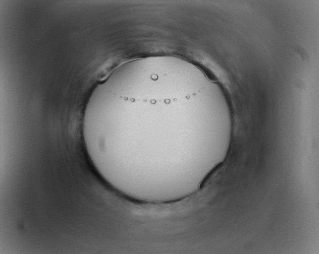 X0000116840009200912312103