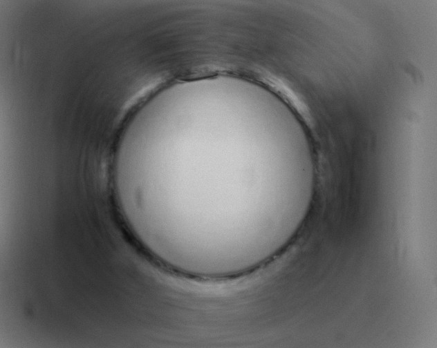 X0000116840010200912312103