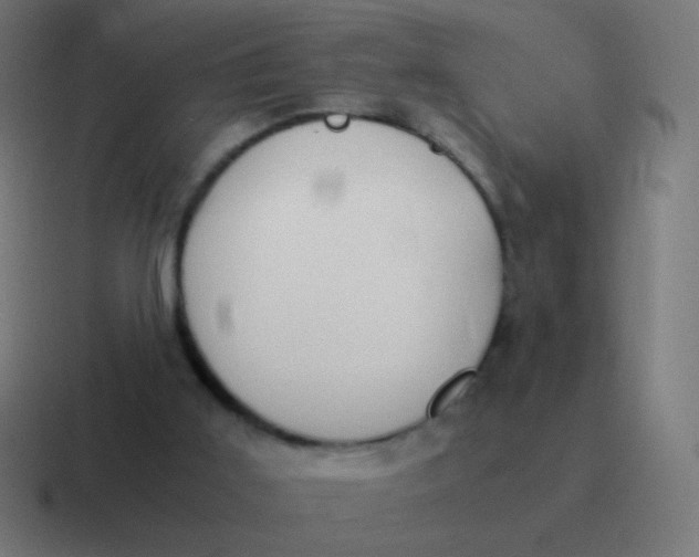 X0000116840011200912312103