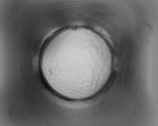 X0000116840012200912312103