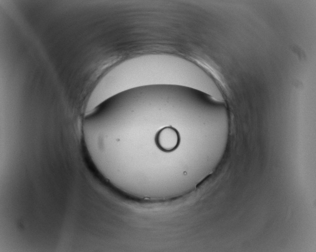 X0000116840013200912312103