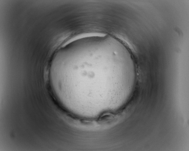 X0000116840014200912312103