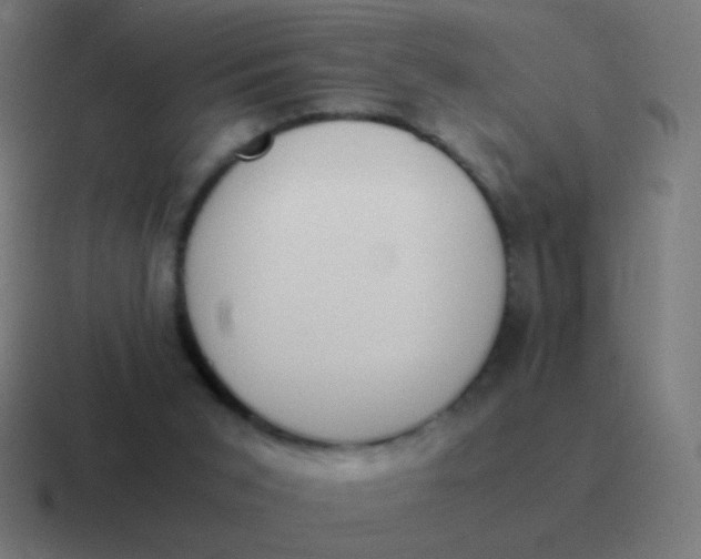 X0000116840015200912312103