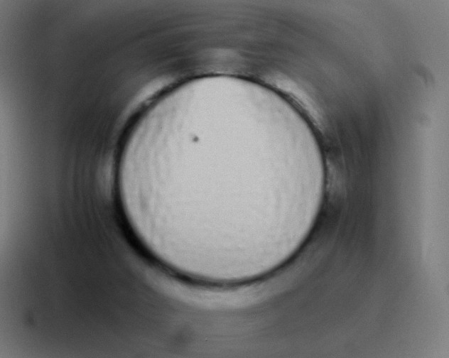 X0000116840016200912312103