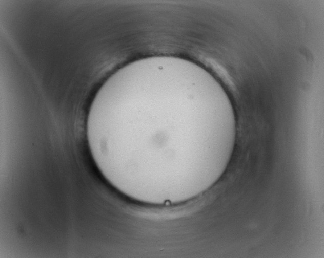 X0000116840017200912312103