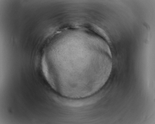 X0000116840018200912312103