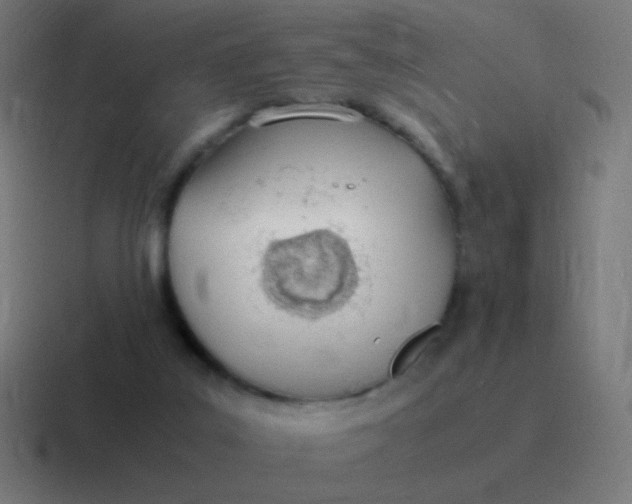 X0000116840019200912312103