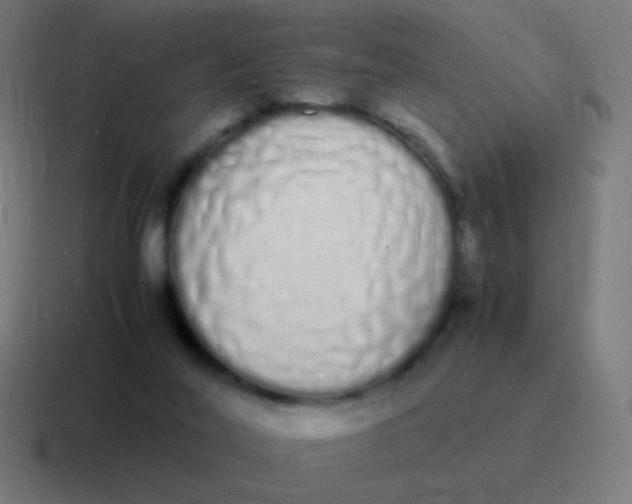 X0000116840020200912312103