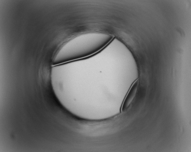 X0000116840021200912312103