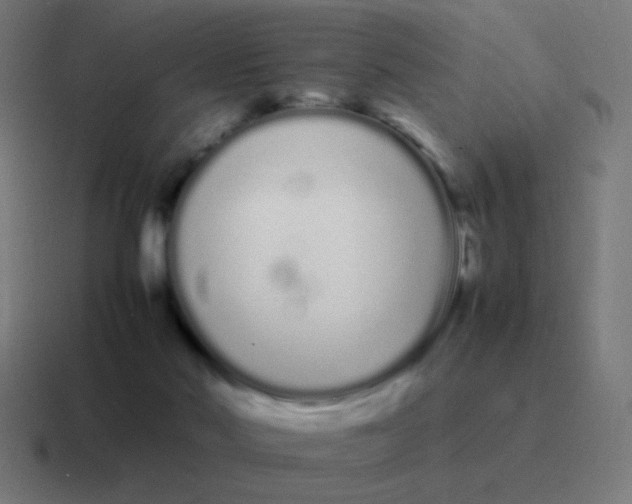 X0000116840022200912312103