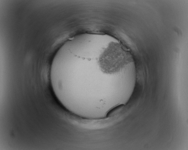 X0000116840023200912312103