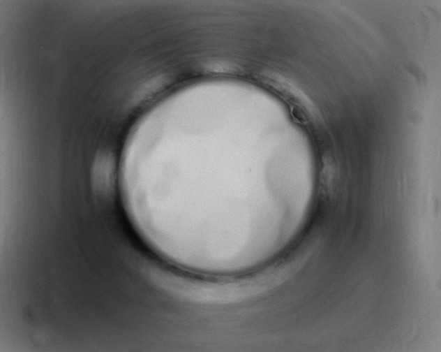 X0000116840024200912312103