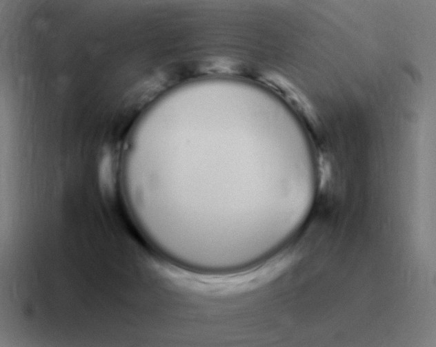 X0000116840026200912312103