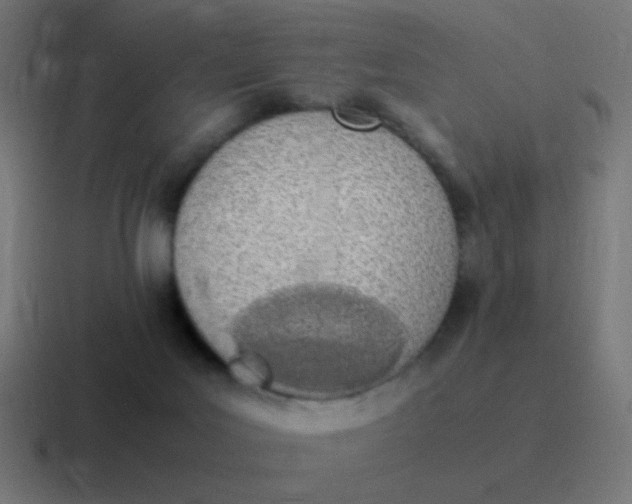 X0000116840027200912312103